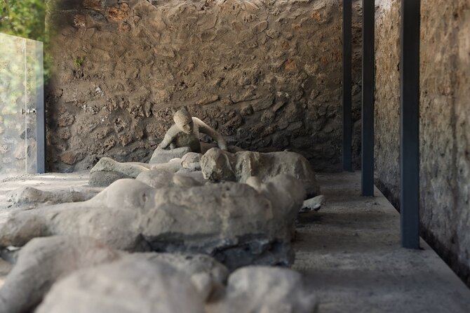 Pompeii Express Day Trip: High-Speed Train from Rome - How the Guides Make This Feel Easy (Even When You Are Self-Guided)