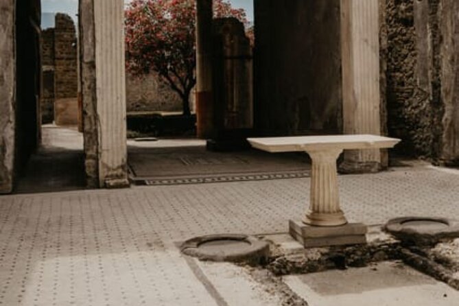 Pompeii Guided Tour with Train Included from Rome - Price and value for a Rome to Pompeii rail day
