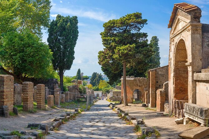 Pompeii & Herculaneum by Train from Rome with Pizza Lunch - Who should book this Pompeii and Herculaneum tour, and who should think twice
