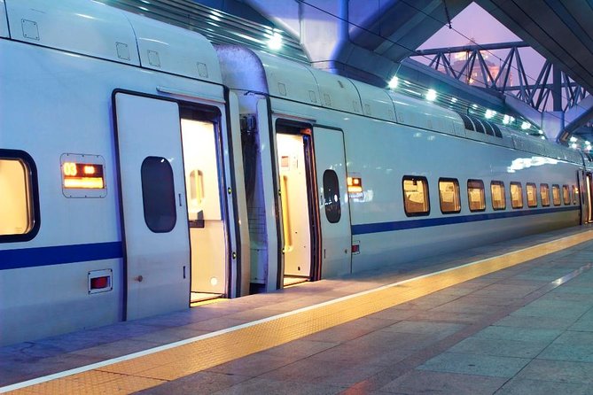 Private Arrival Transfer: Rome Train Station to Hotel - Spotting the driver at Termini or Tiburtina (without losing your evening)