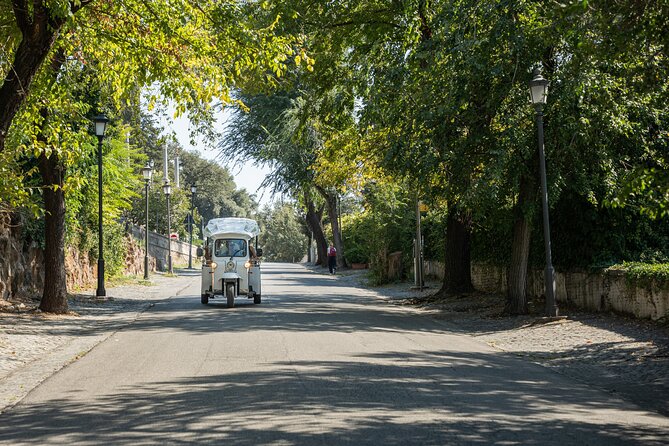 Private Electric Tuktuk Tour of Rome with Prosecco and Pickup - Spanish Steps and Terrazza del Pincio: the first wow, minus the marathon