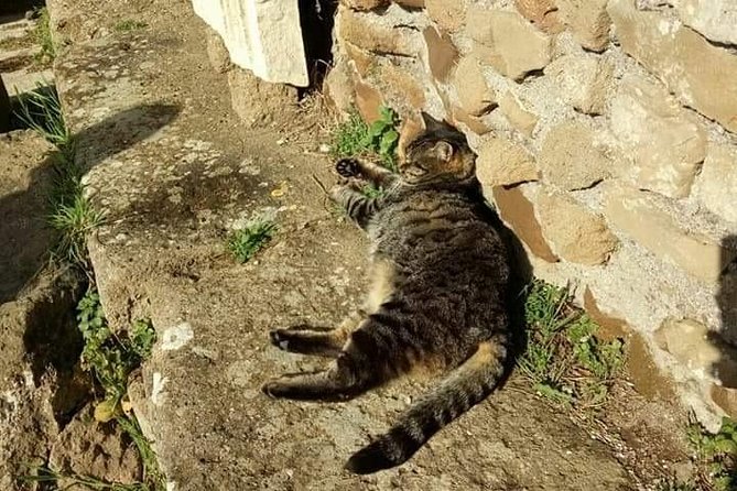 Private Ostia Antica Adventure tour from Rome - Should You Book This Private Ostia Antica Adventure?