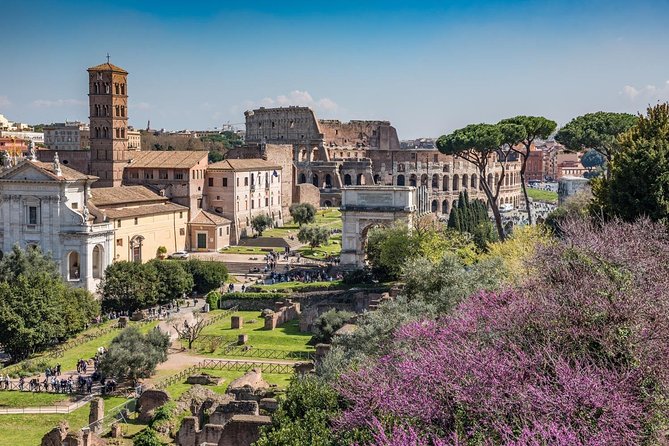 Private Rome in a Day Tour with Colosseum & Sistine Chapel: Essential Experience - Entering the Colosseum with time-saving guidance