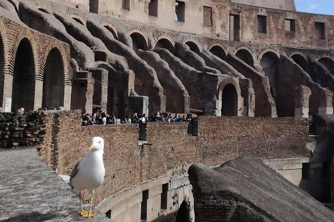 Private tour of Colosseo - Entering the Colosseum with Skip-the-Line Access