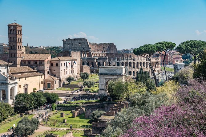 Private Tour of the Colosseum with Roman Forum & Palatine Hill - Entering the Colosseum: First and Second Levels, Explained Clearly