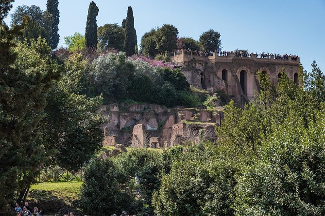 Private Tour of the Colosseum with Roman Forum & Palatine Hill - Palatine Hill Climb and the Circo Massimo View