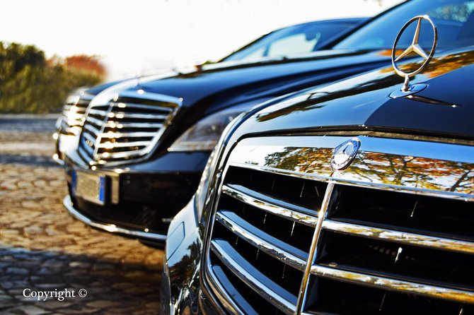Private Transfer: Rome Fiumicino Airport to Civitavecchia Port - Optional Rome sightseeing cruise on the way