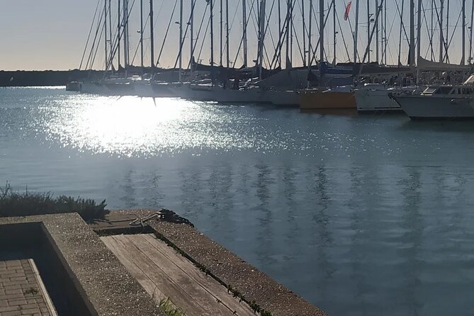 Private Transport from Civitavecchia Port to Rome or vice versa - Choosing Pickup Time: The 30-Minute Waiting Window Matters