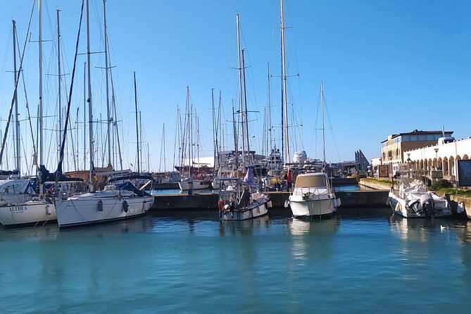 Private Transport from Civitavecchia Port to Rome or vice versa - Airport Transfers: Rome Fiumicino or Ciampino in About 45 Minutes