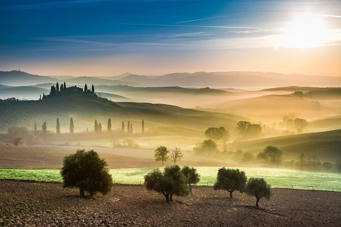 Private Tuscany Wine Country Day Trip from Rome with Lunch - Key highlights to look for on this wine day