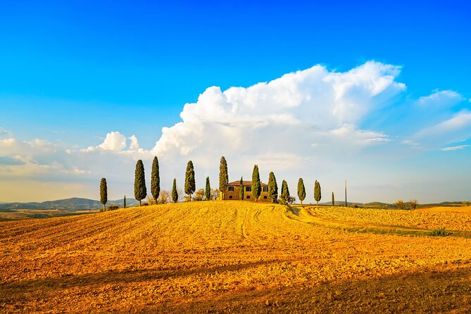 Private Tuscany Wine Country Day Trip from Rome with Lunch - The day’s timing, pickup, and why early matters