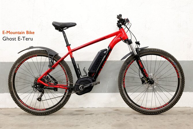 Quality E-Bike Rental in Rome - Why an e-bike rental beats a rigid Rome plan