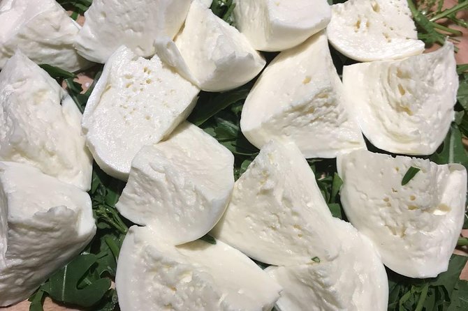 Roman Food Tour with Visit to the Trionfale Food Market - Guides matter here, and you’ll feel it in the pacing