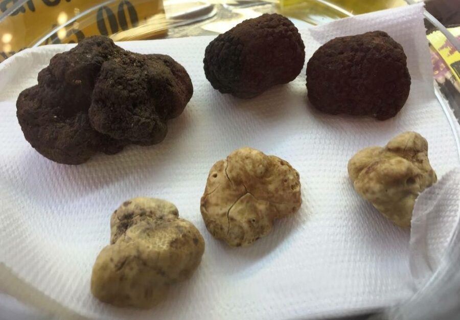 Rome: Award-Winning Roman Food Tours - Timing: morning, afternoon, or evening, and how it changes the vibe