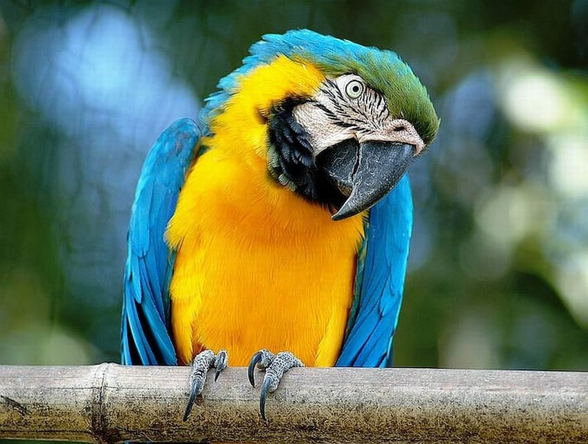 Rome: Bioparco di Roma Zoological Garden Entry Ticket - Quick hits before you go