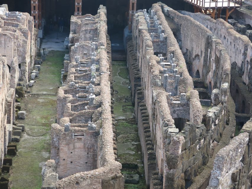 Rome: Colosseum Arena Floor, Roman Forum & Palatine Tour - Entering Through the Gladiators Entrance and the Arena Floor