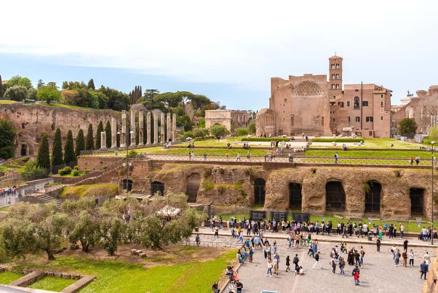 Rome: Colosseum, Forum, and Palatine Tour - Key things you’ll notice on the Colosseum, Forum, and Palatine tour