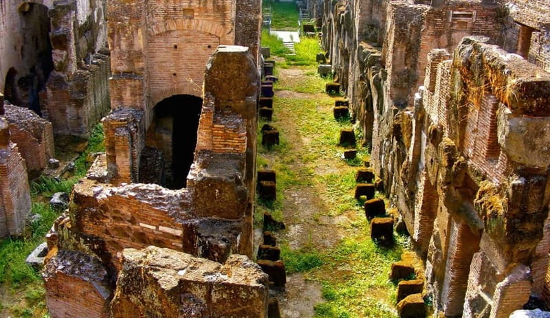 Rome: Colosseum Gladiator's Arena and Roman Forum Tour - What to bring, what not to bring, and the small rules that matter