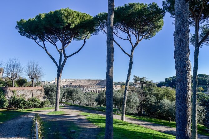 Rome: Colosseum, Palatine Hill and Roman Forum Tour - Roman Forum: where politics, religion, and daily life met