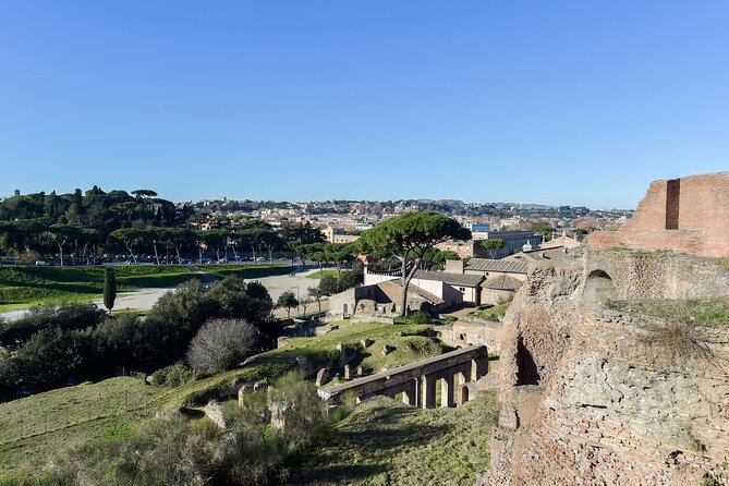 Rome: Colosseum, Palatine Hill and Roman Forum Tour - Who the guide style is best for