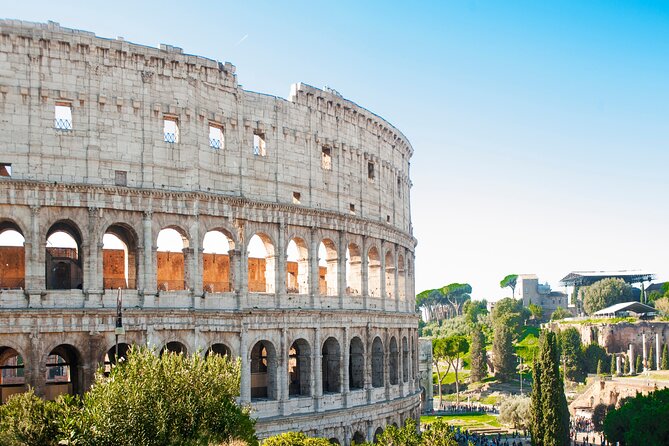Rome: Colosseum, Roman Forum, and Palatine Hill Tour - Meeting Point at Metro B Colosseo, Plus What to Bring