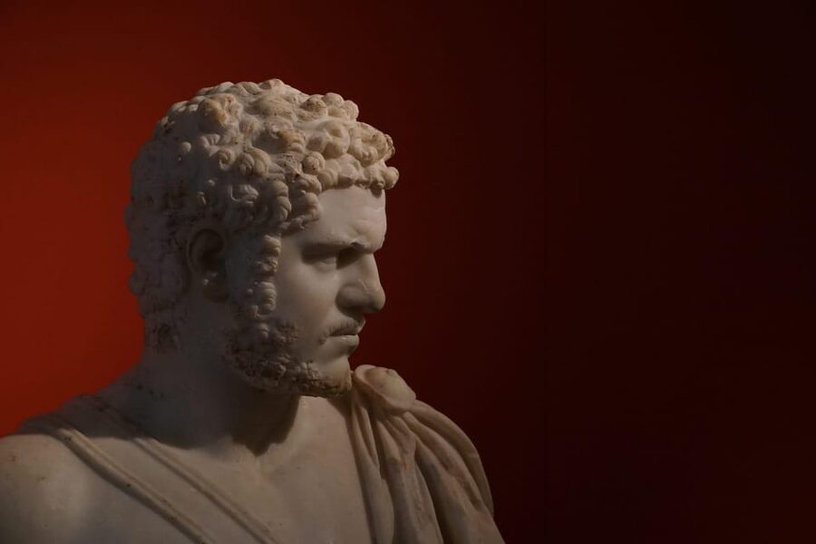 Rome: Colosseum, Roman Forum & Palatine Hill Experience - Who should book this Colosseum, Forum and Palatine Hill experience