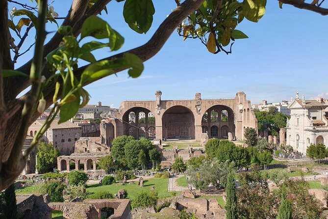Rome: Colosseum, Roman Forum & Palatine Hill Experience - Roman Forum: your 45-minute power walk through Rome’s center
