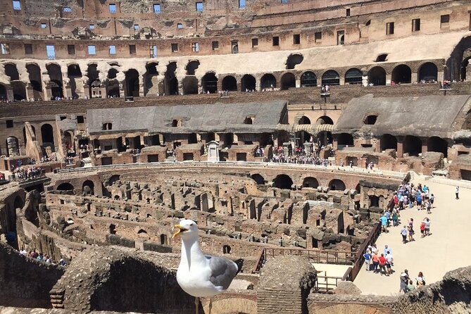 Rome: Colosseum, Roman Forum, & Palatine Hill Guided Tour - A tight 2.5-hour route that gives you the right perspective