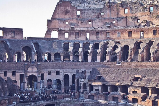Rome Colosseum, Roman Forum & Palatine Official Visit - Palatine Hill: payoff views and a calmer pace