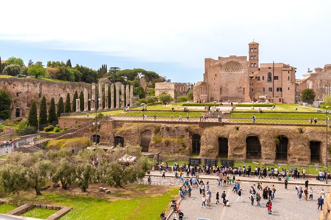 Rome: Colosseum with Roman Forum & Palatine Hill Guided Tour - Is it better than doing it on your own?