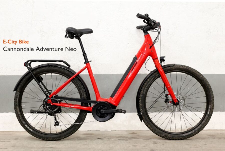 Rome: E-Bike Rental with Helmet and U-Lock - Bosch E-bike Power for Rome’s 7 Hills