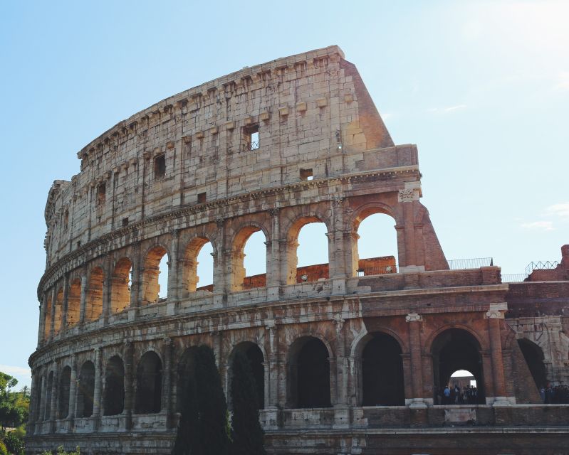 Rome: Guided Colosseum Tour with Arena Entrance - Palatine Hill Views: The Reward for Staying on the Route
