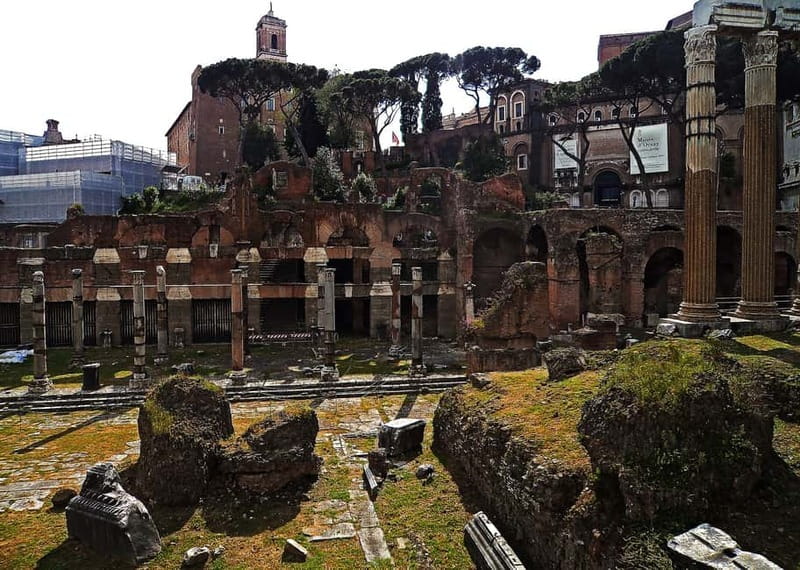 Rome: Guided Tour of the Colosseum, Forum and Palatine hill - Should you book this Colosseum, Forum and Palatine tour?