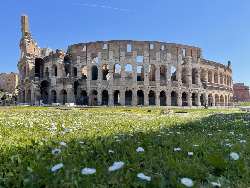 Rome: Guided Tour of the Colosseum Underground - Key highlights worth circling