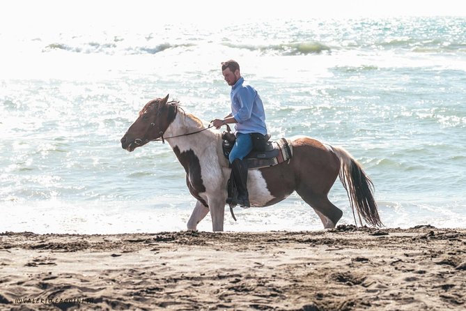 Rome: Horseback Riding on the Beach with aperitif - From Viale dei Romagnoli to Cavalieri di Gaia