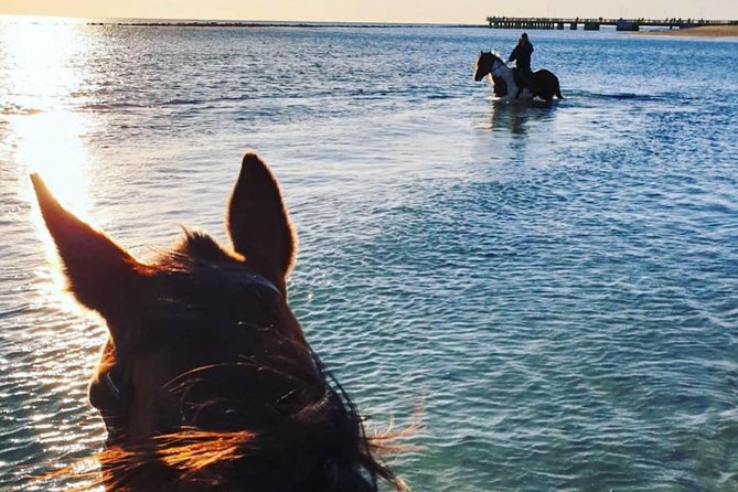 Rome: Horseback Riding on the Beach with aperitif - Coastal riding: the beach segment and the sunset factor