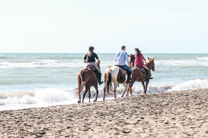 Rome: Horseback Riding on the Beach with aperitif - How intense is it really: trot, canter, and possible gallop
