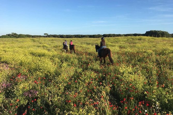 Rome: Horseback Riding on the Beach with aperitif - Price and value: $299.57 for an expert-only ranch-to-beach day