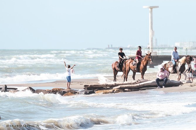 Rome: Horseback Riding on the Beach with aperitif - Meeting the horses, grooming, and saddling up