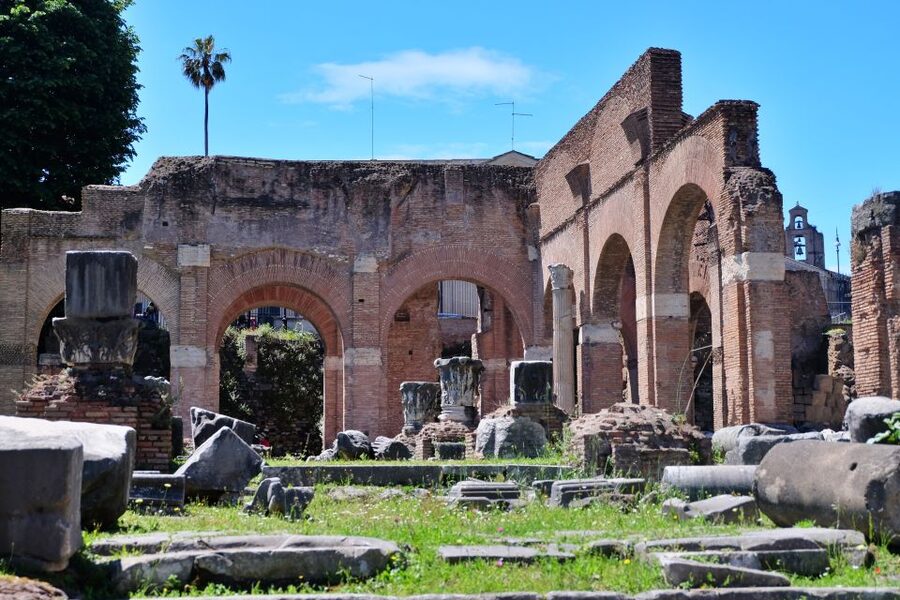 Rome: Introduction to the Colosseum and Ancient City Tour - Roman Forum: The Day-to-Day Center of an Empire