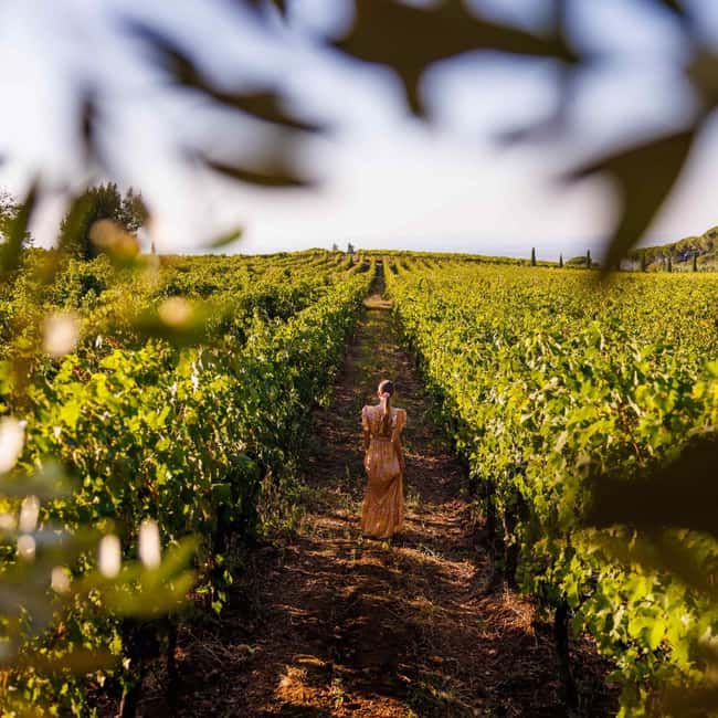 Rome: Private Castelli Romani Wine Tasting Tour - The Frascati stop: a photo moment plus real tasting time