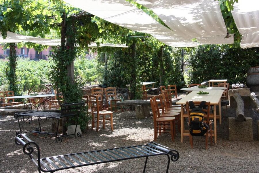Rome: Private Castelli Romani Wine Tasting Tour - Antico Casale winery tour in the Castelli Romani countryside