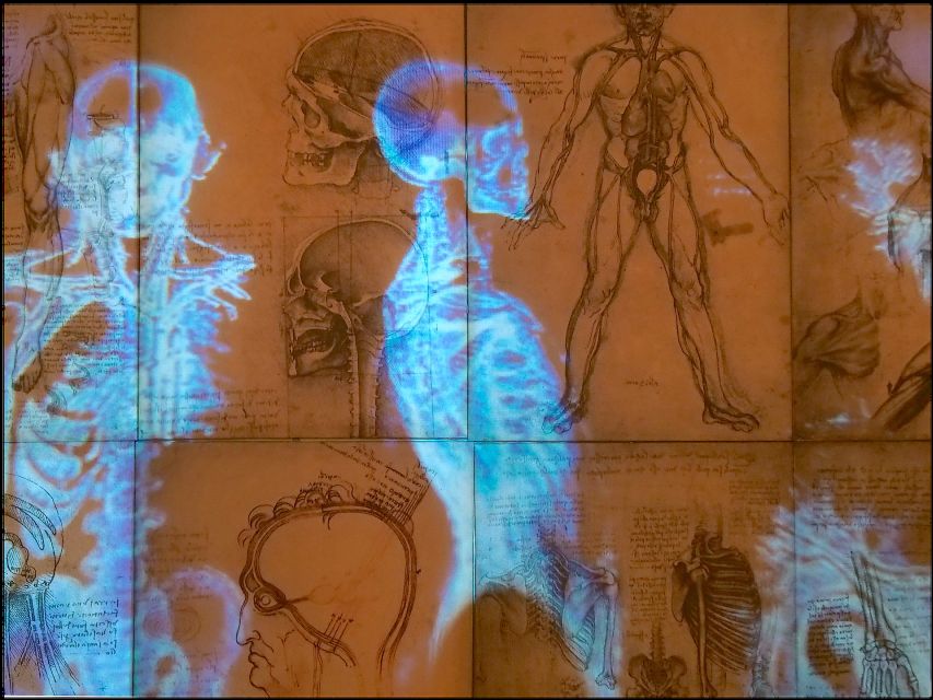 Rome: Private Leonardo da Vinci Exhibition Guided Tour - Anatomy, invention videos, and the art-science connection