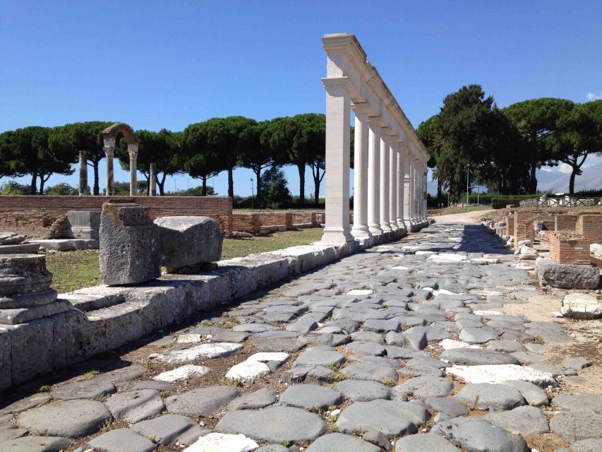 Rome: Private Tailored City Tour with Expert Driver - Trastevere and Circus Maximus for a different Rome vibe