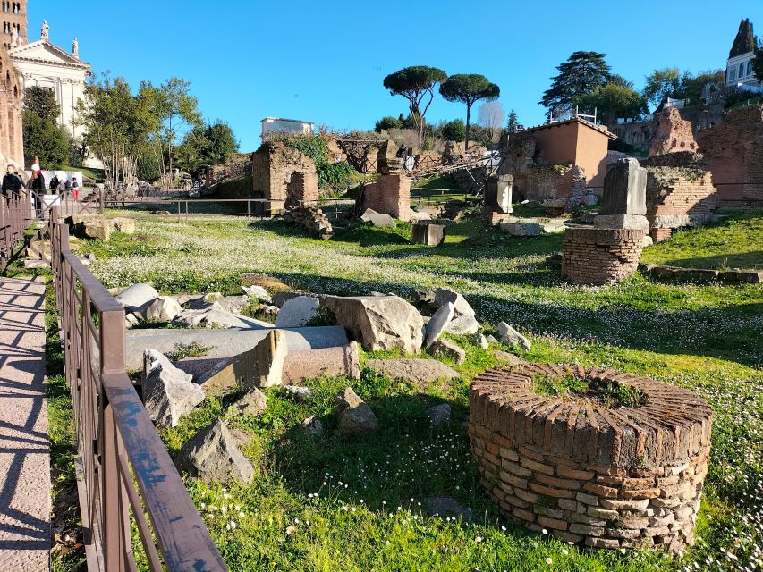Rome: Roman Forum and Palatine Hill Licensed Guided Tour - Price and value for $54, including tickets and a licensed guide