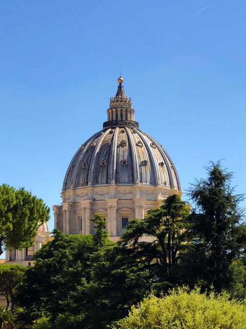 Rome: St. Peter's Basilica Guided Tour and Dome Access - Who This Tour Is Best For (and When It Might Not Fit)