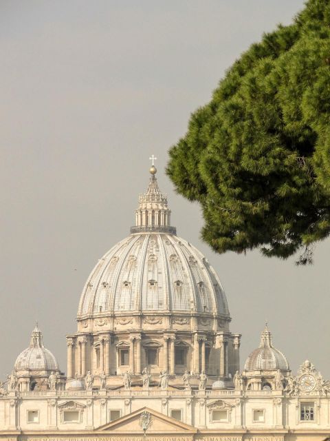 Rome: St. Peter's Basilica Guided Tour with access to Dome - Key things you should notice before you go