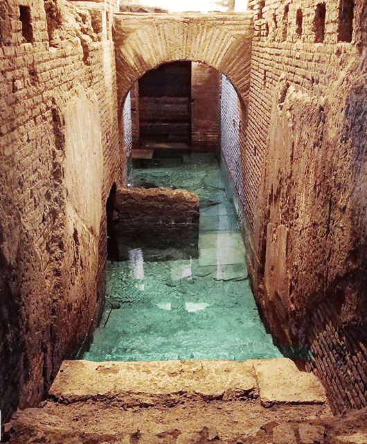 Rome: Trevi Fountain Underground Small Group Tour - Price and value, is $71 a good deal?