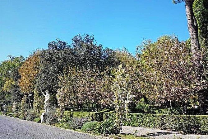 Rome: Vatican Museums and Gardens Private Tour - Pick up included - Who this tour fits (and who should skip it)