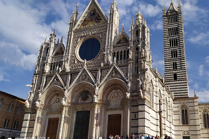 Siena and San Gimignano from Rome: Wine Tasting Tour in Tuscany - Tenuta Torciano winery visit: tasting, local products, and lunch with views